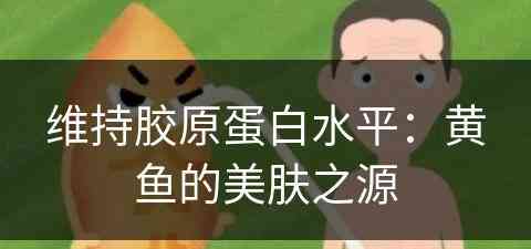 维持胶原蛋白水平：黄鱼的美肤之源